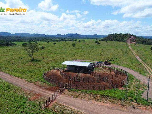 Fazenda para Venda em Recursolândia - 5