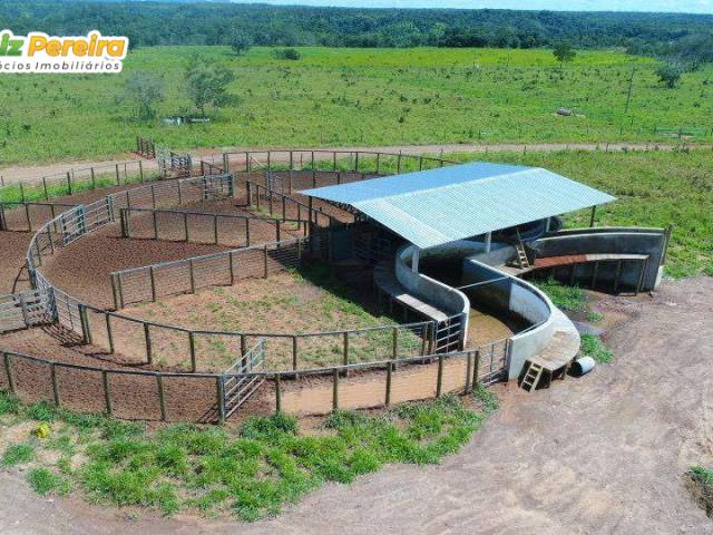 Venda em Zona Rural - Recursolândia