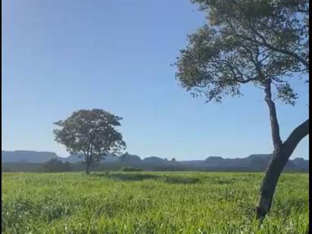 Fazenda para Venda em Recursolândia - 4