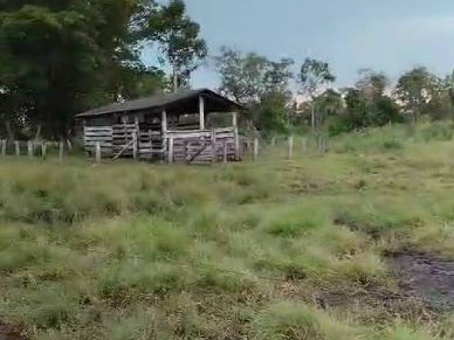 #3204 - Fazenda para Venda em Portel - PA - 2