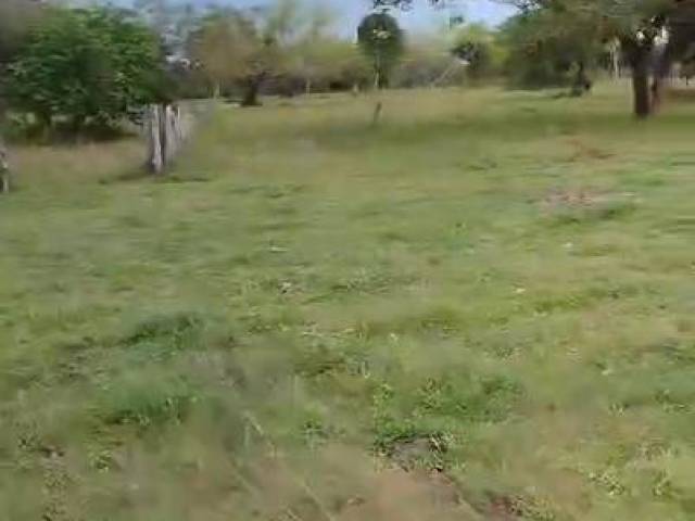 Fazenda para Venda em Goiatins - 4