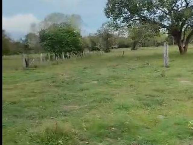 #3204 - Fazenda para Venda em Portel - PA - 3