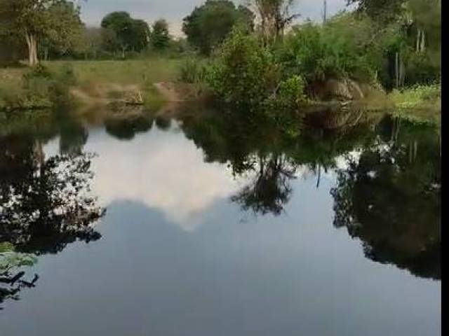 Fazenda para Venda em Goiatins - 5