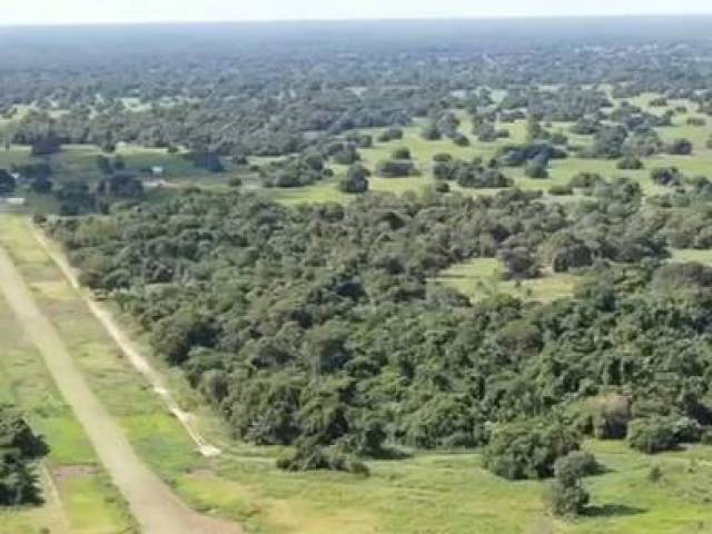 #3205 - Fazenda para Venda em Corumbá - MS - 3