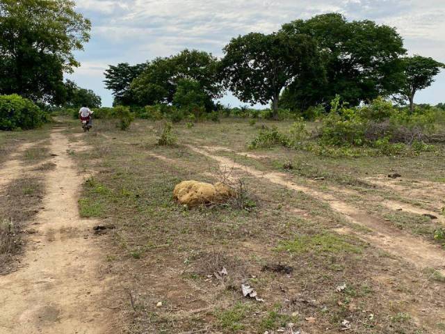 #3206 - Fazenda para Venda em Dois Irmãos do Tocantins - TO - 3
