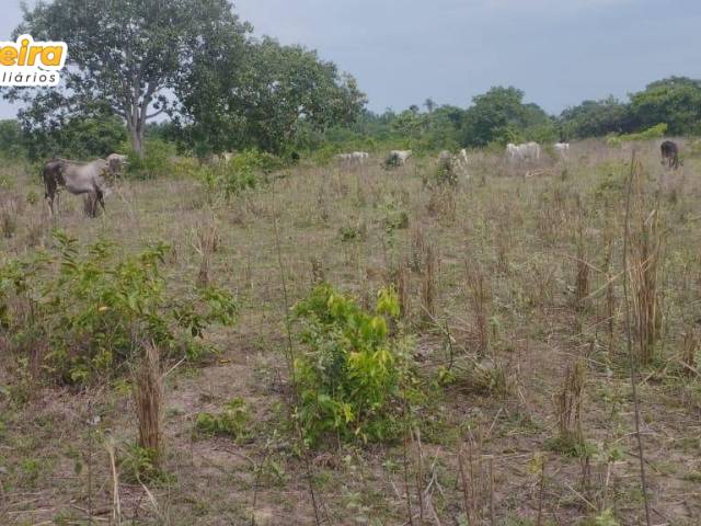 #3206 - Fazenda para Venda em Dois Irmãos do Tocantins - TO - 2