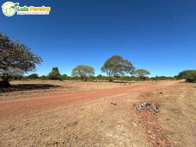 Fazenda para Venda em Dois Irmãos do Tocantins - 5