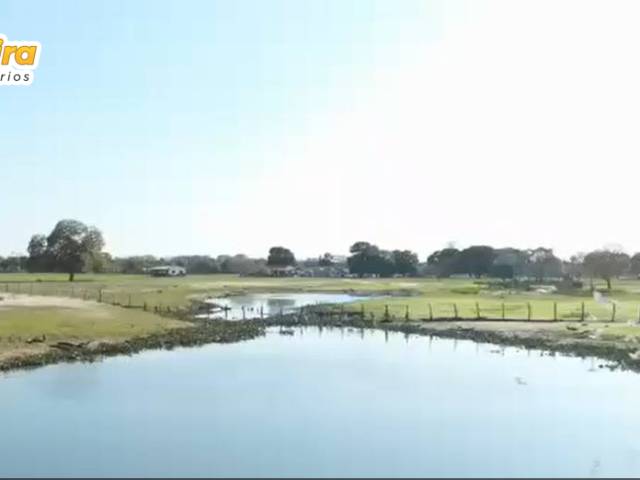 Fazenda para Venda em Corumbá - 5