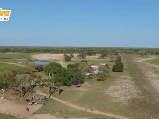 Venda em Vila Guarani - Corumbá