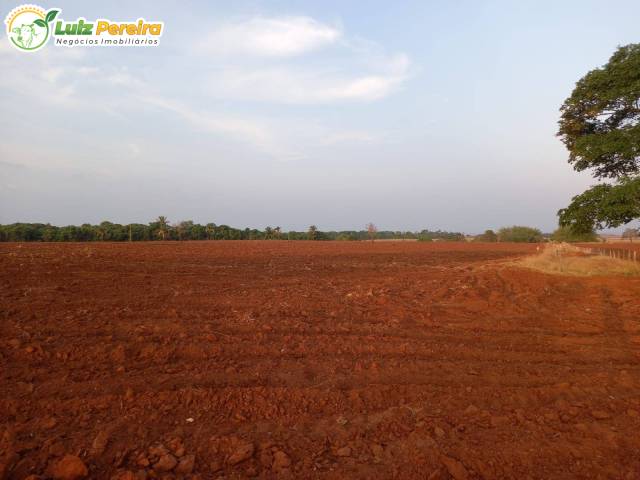 Fazenda para Venda em Araguaína - 5