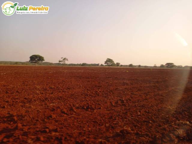 #3209 - Fazenda para Venda em Portel - PA - 2