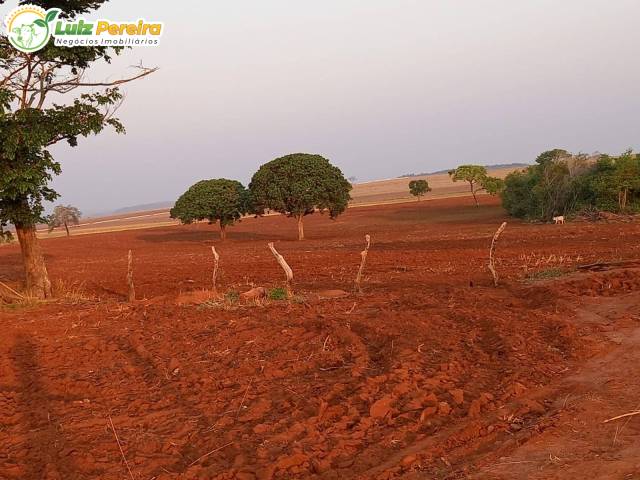 #3209 - Fazenda para Venda em Araguaína - TO