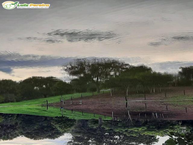 #3210 - Fazenda para Venda em Dueré - TO - 1