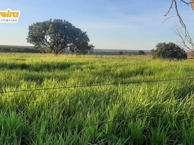 #3210 - Fazenda para Venda em Dueré - TO - 3
