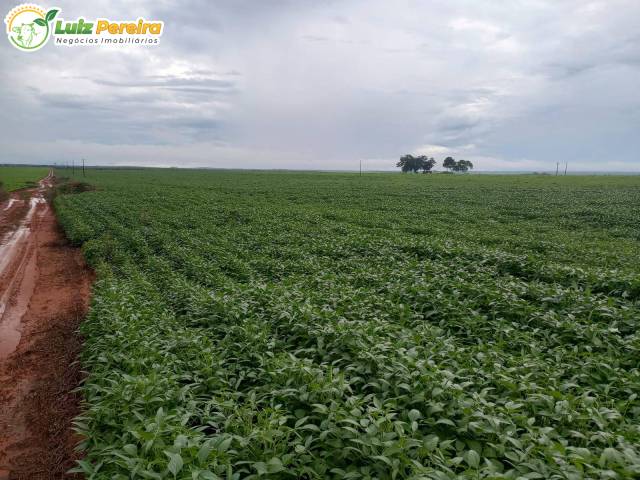 Fazenda para Venda em Santa Maria do Tocantins - 4
