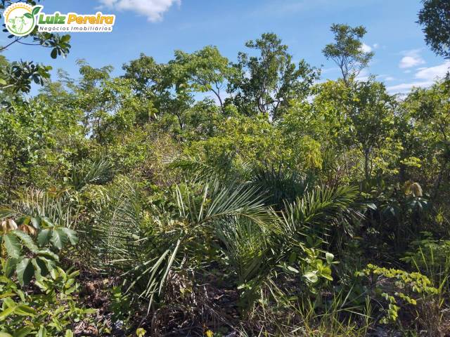 #3211 - Fazenda para Venda em Centenário - TO - 2