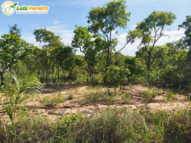 #3211 - Fazenda para Venda em Centenário - TO - 1