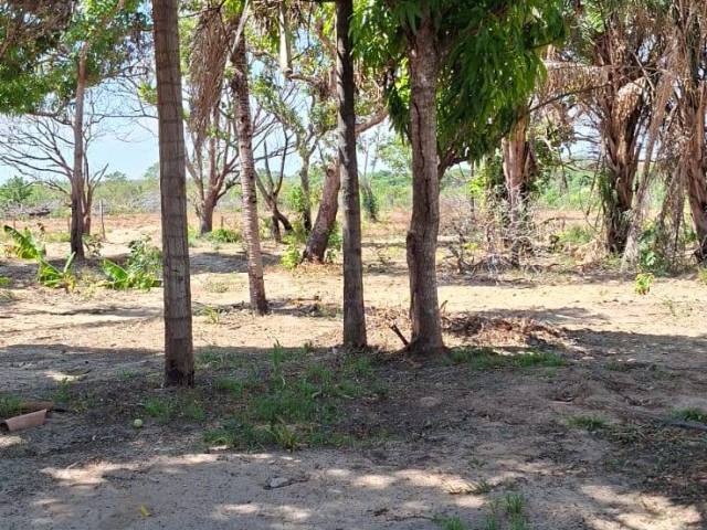 #3211 - Fazenda para Venda em Portel - PA - 2