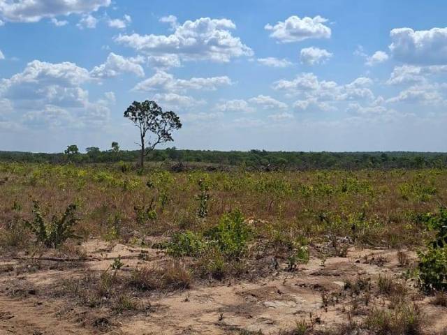 #3211 - Fazenda para Venda em Portel - PA - 3