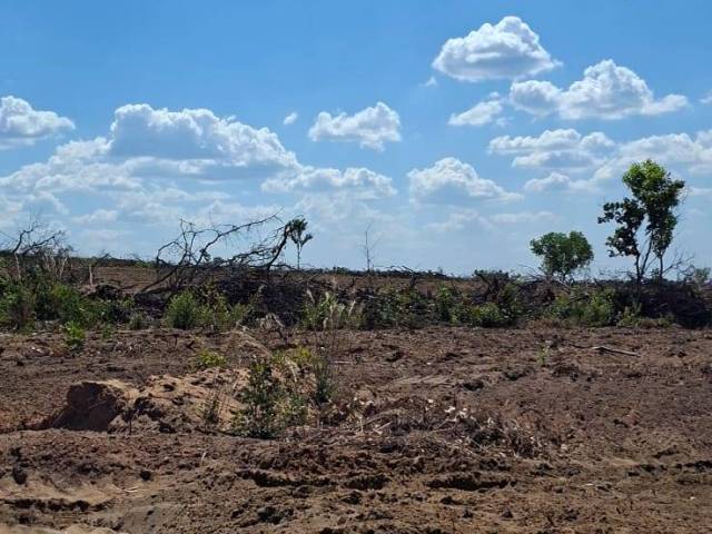 Fazenda para Venda em Barra do Ouro - 5