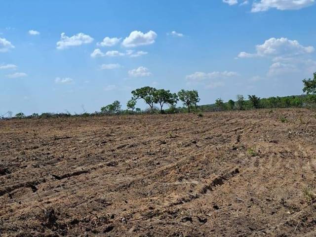 Venda em Zona Rural - Barra do Ouro