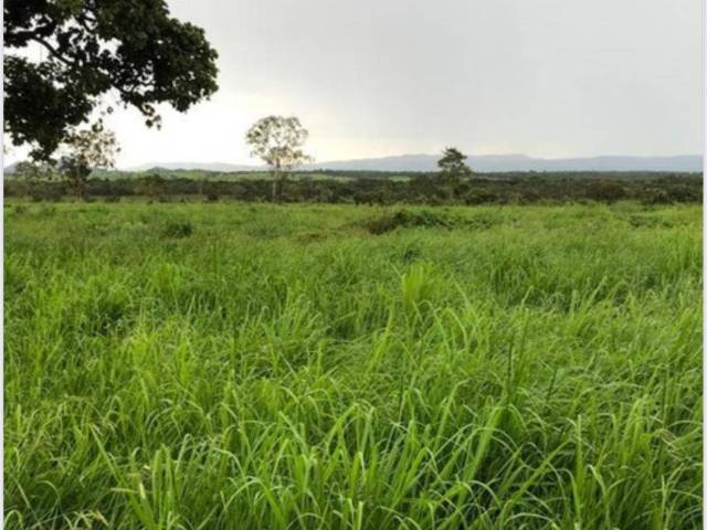 #3212 - Fazenda para Venda em Paranã - TO - 2