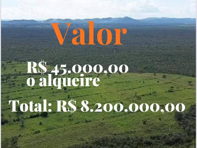 Fazenda para Venda em Paranã - 4