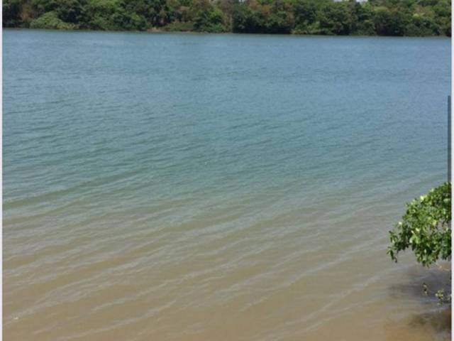 #3212 - Fazenda para Venda em Paranã - TO - 1