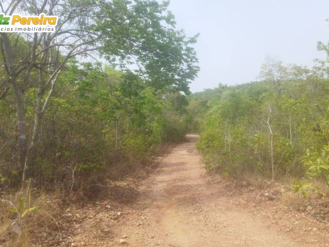 Fazenda para Venda em São Valério da Natividade - 4