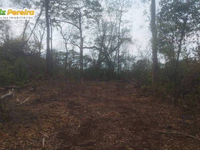 Fazenda para Venda em São Valério da Natividade - 5