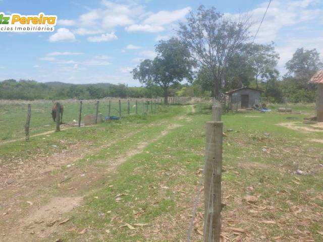 #3213 - Fazenda para Venda em São Valério da Natividade - TO - 1