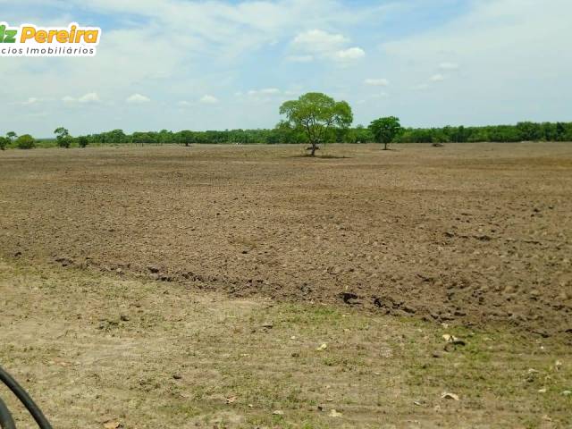 #3214 - Fazenda para Venda em Formoso do Araguaia - TO - 2