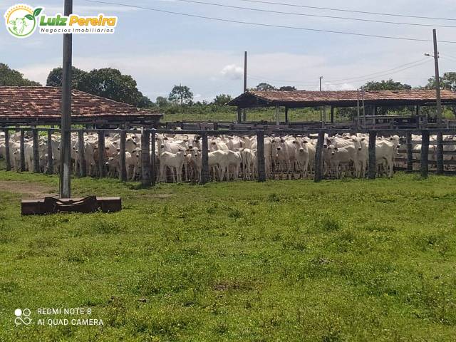 #3214 - Fazenda para Venda em Formoso do Araguaia - TO - 3