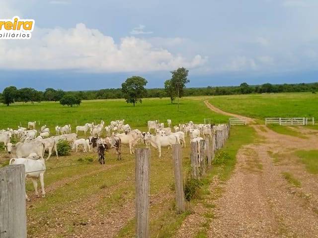 #3214 - Fazenda para Venda em Formoso do Araguaia - TO - 1
