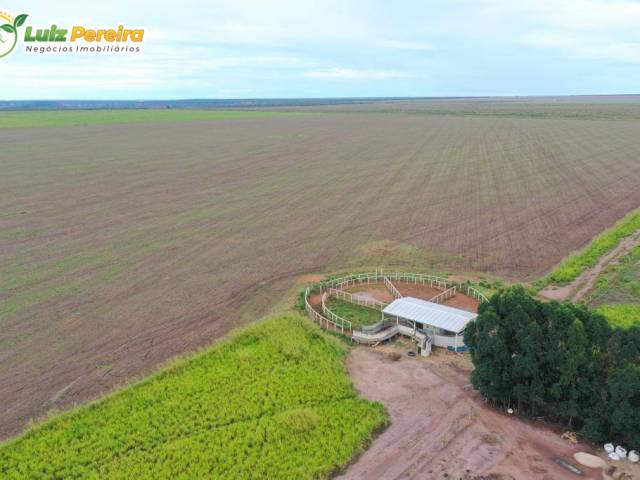 Fazenda para Venda em Palmeirais - 4