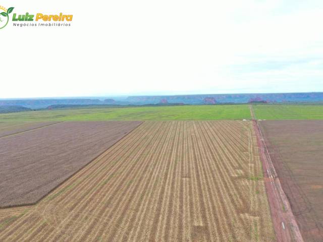 Fazenda para Venda em Palmeirais - 5