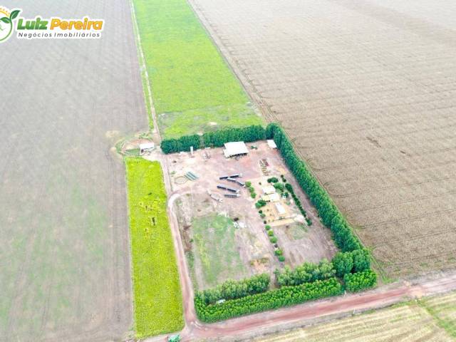 #3215 - Fazenda para Venda em Palmeiras do Tocantins - TO - 2