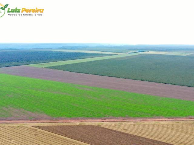#3215 - Fazenda para Venda em Palmeirais - PI