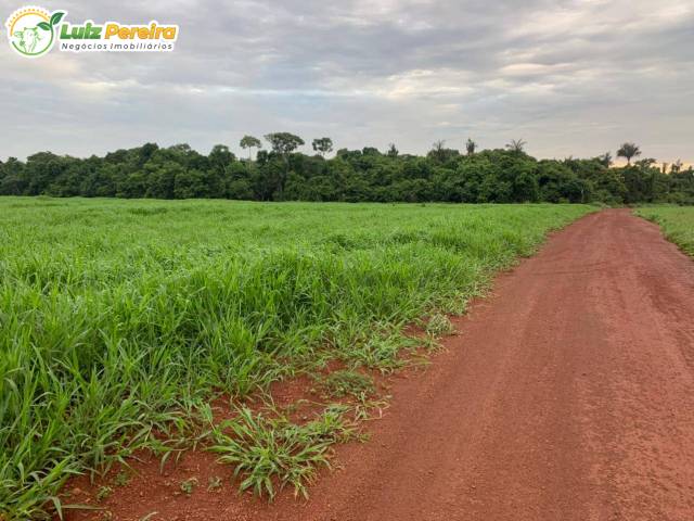 #3217 - Fazenda para Venda em Conceição do Araguaia - PA - 2