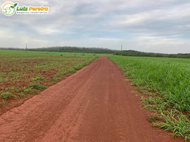 Fazenda para Venda em Conceição do Araguaia - 4