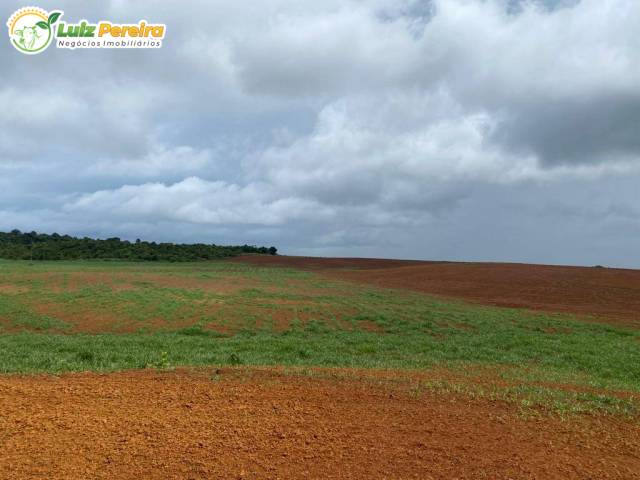 #3217 - Fazenda para Venda em Conceição do Araguaia - PA - 1