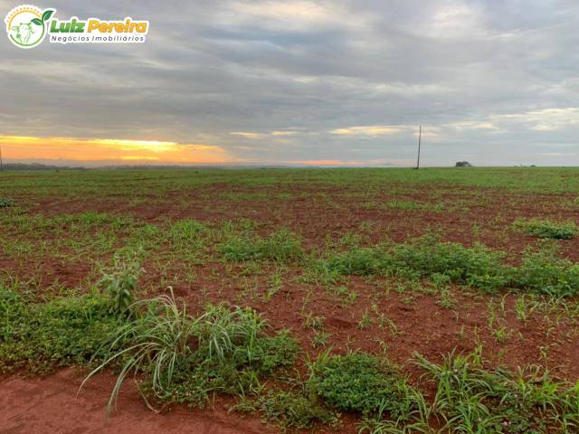 #3217 - Fazenda para Venda em Conceição do Araguaia - PA - 3