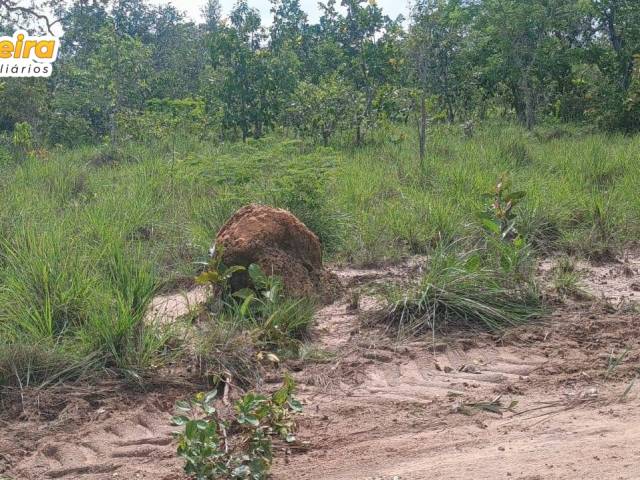 Fazenda para Venda em Araguaína - 4