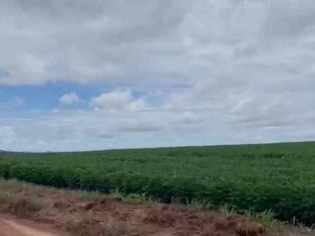 #3218 - Fazenda para Venda em Xinguara - PA - 3