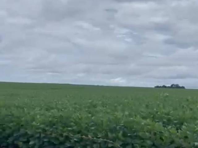 #3218 - Fazenda para Venda em Xinguara - PA - 2