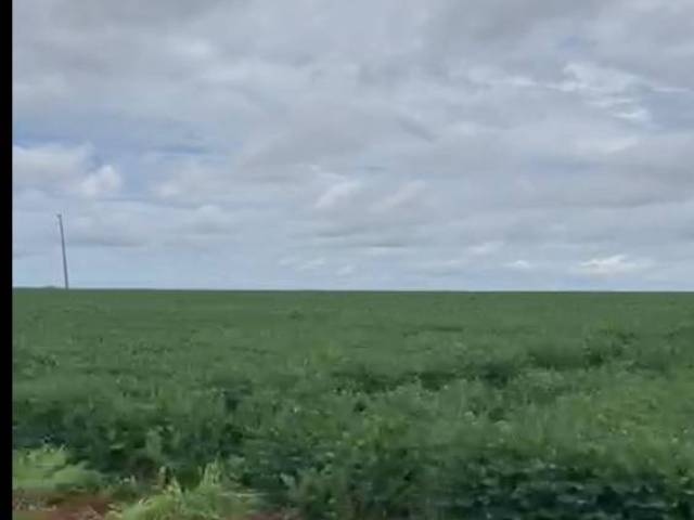 #3218 - Fazenda para Venda em Xinguara - PA - 1