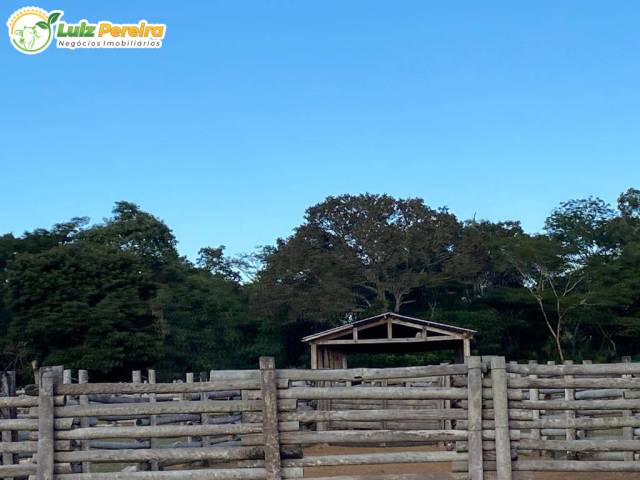 Fazenda para Venda em Corumbá - 4