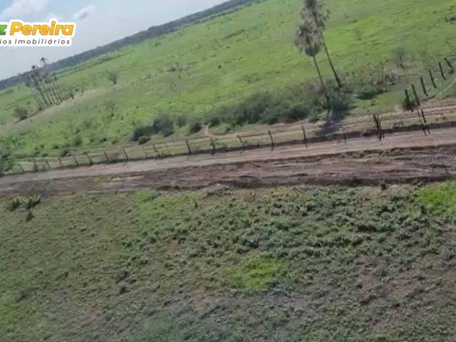 #3220 - Fazenda para Venda em Corumbá - MS - 1