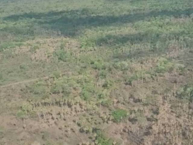 #3220 - Fazenda para Venda em Corumbá - MS - 3