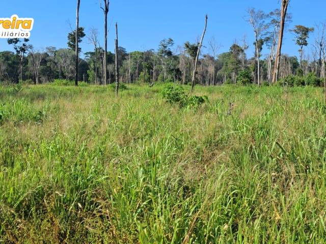 #3221 - Fazenda para Venda em Placas - PA - 3